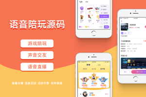 最新商业版游戏陪玩语音聊天系统源码2.0版