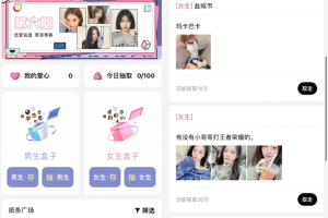 h5新二开盲盒交友源码-站长亲测