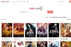 PHP娴娴小说网站源码 PC WAP自适应