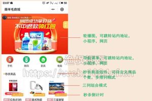 薅羊毛拼团商城V1.1.7多开版+前端