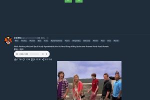 ProxiTok国际版抖音 TikTok网页版源码下载 支持国内网络直连