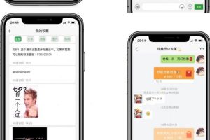 【已测】一套4K+（H5+安卓+IOS)红包即时通讯客户端下载 视频教程