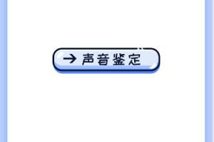 【引流源码】声音鉴定引流神器网站源码下载 轻松吸引用户关注