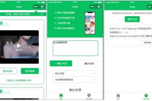 2023最新去水印小程序源码下载 无需后台 对接接口 支持全网去水印