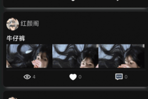 独立开发的轻量开源论坛下载