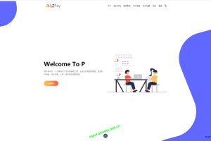 浪子易支付源码下载 增加杉德 付呗支付插件 PayPal 汇付 虎皮椒插件