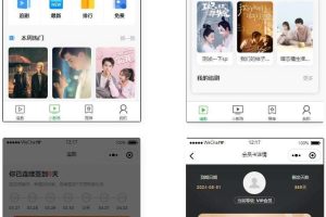 仿抖音滑动短剧影视微信小程序源码下载 具有支付收益等多种模式