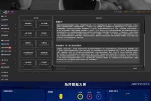 新版本（市售）TZDYM001矩阵营销系统，矩阵源码，一站式管理，一键发布
