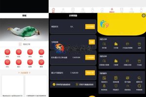 [已测试] 多用户转售竞价闪拍商城系统/NFT数据存储系统/后端PHP前端UNIAPP