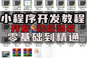 「小程序开发从入门到精通」全套视频+源码模板+公众号对接+商业项目实战 | 零基础速成